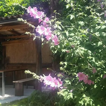 Apartman Vesna Free Parking *