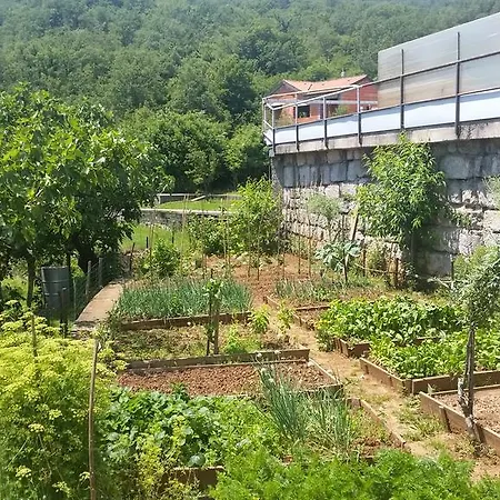 Apartment Vesna Free Parking Opatija