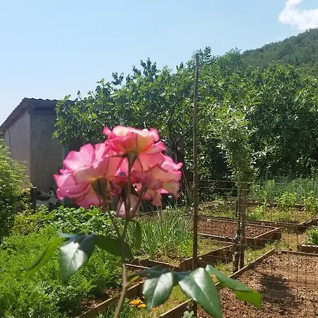 Apartment Vesna Free Parking