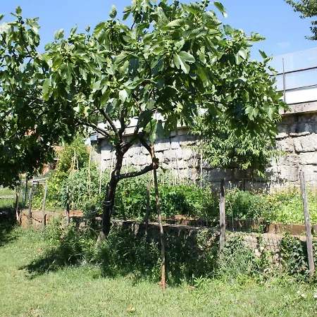 Vesna Free Parking 公寓