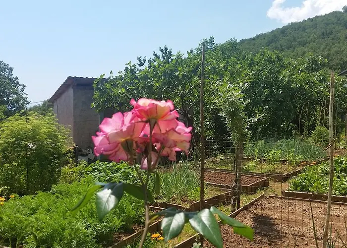 아파트 Vesna Free Parking