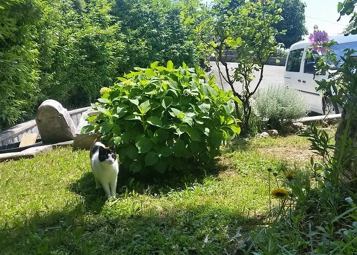 Vesna Free Parking *