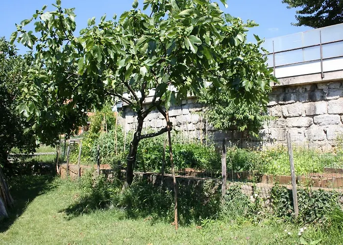 Vesna Free Parking Appartamento