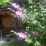 Appartement Vesna Free Parking *