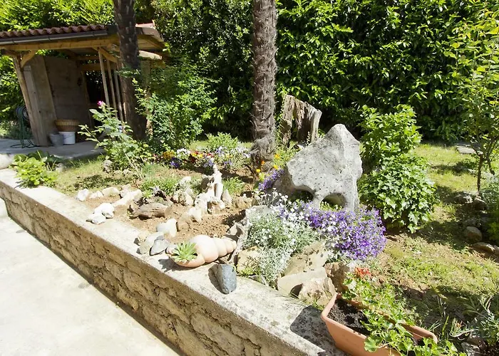 Vesna Free Parking *